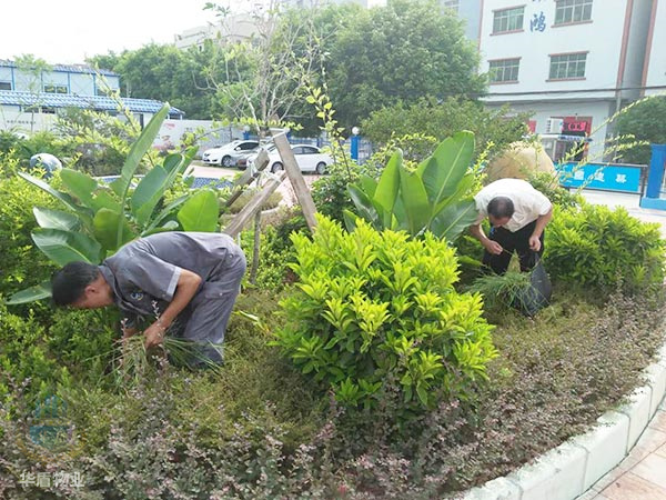 消除常见园林杂草的方法