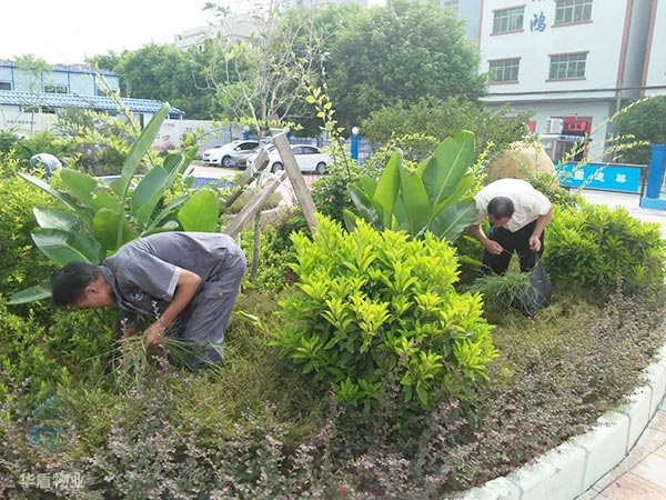 园林绿化除草