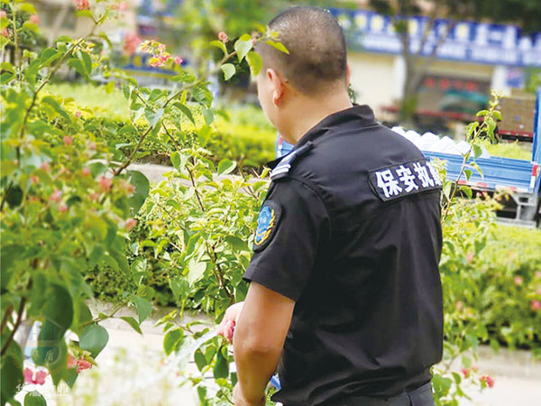 园林绿化