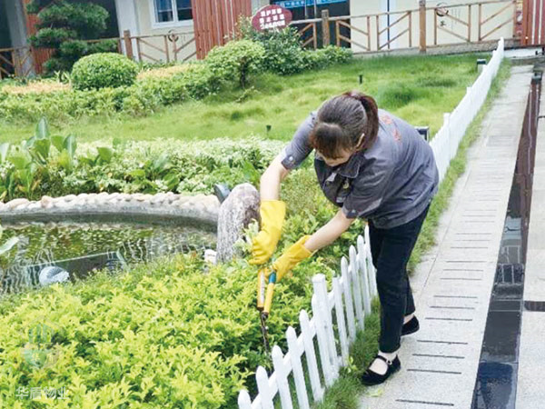 修剪植物